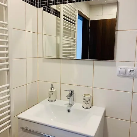 Vidhous 2 Guest house Frantiskovy Lazne